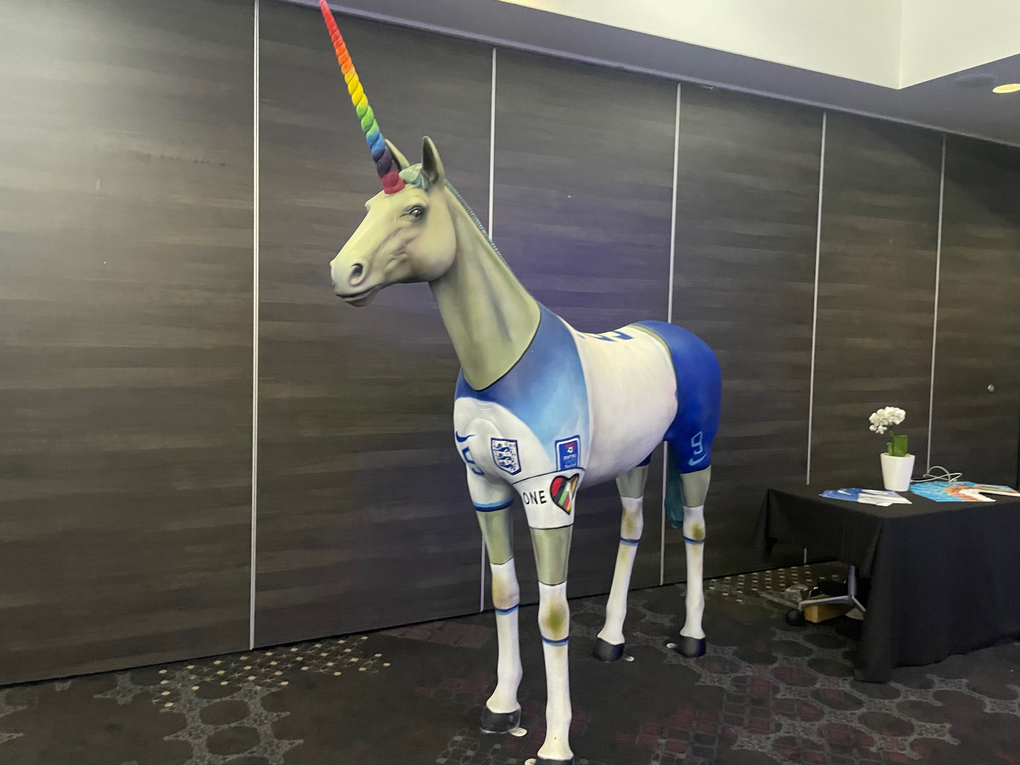 A unicorn painted with the England football kit